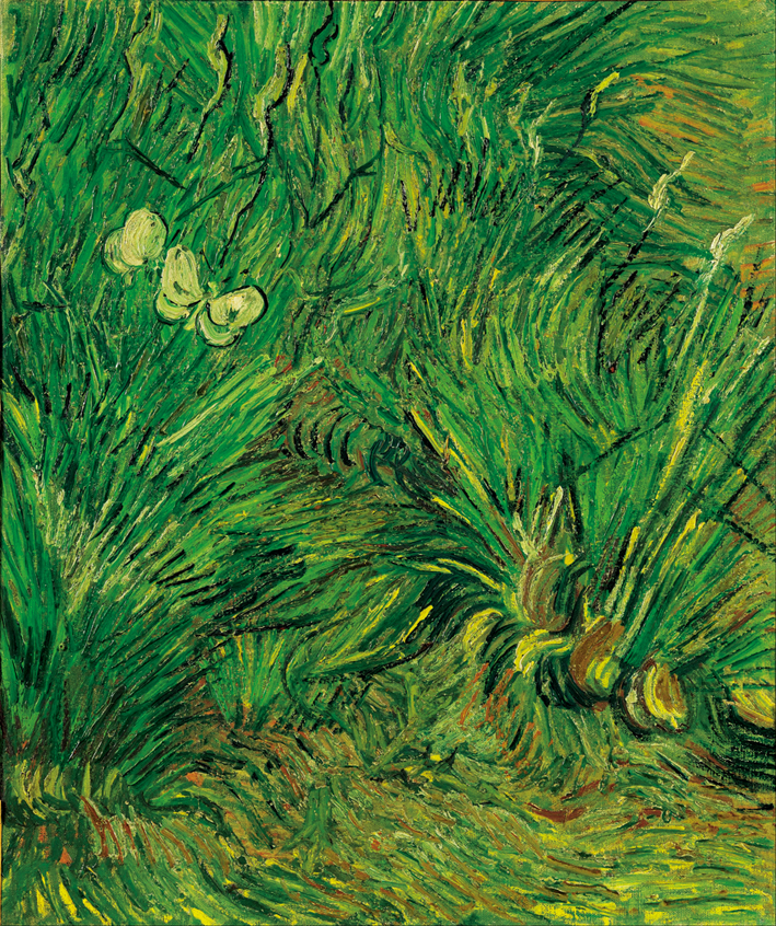  文森特·威廉·梵高  Vincent Willen Van Gogh —— 花丛中的蝴蝶1889